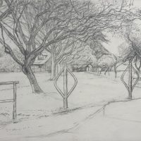 George Wallace - Beacon Hill Park, c.1988, pencil